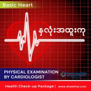 နှလုံး အထူးကုသခြင်း (Basic)